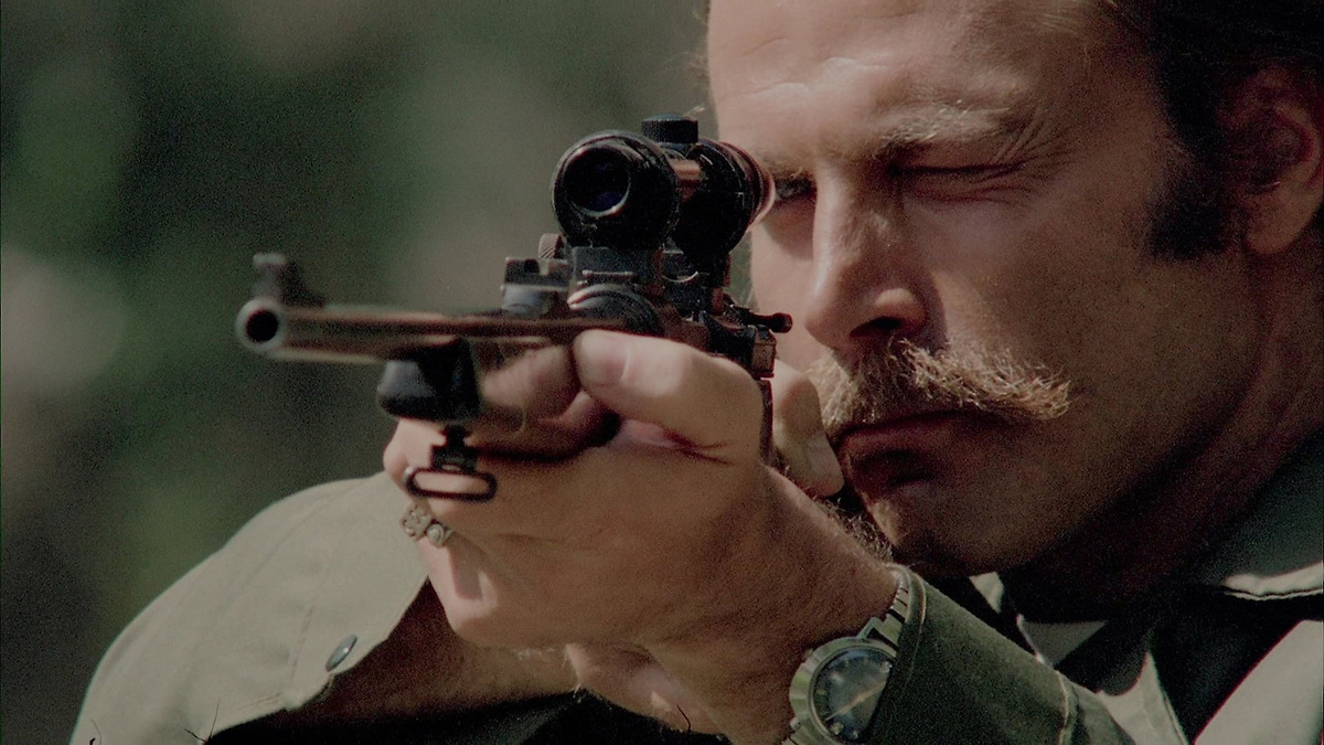 ‎Hitch Hike (1977) directed by Pasquale Festa Campanile • Reviews, film